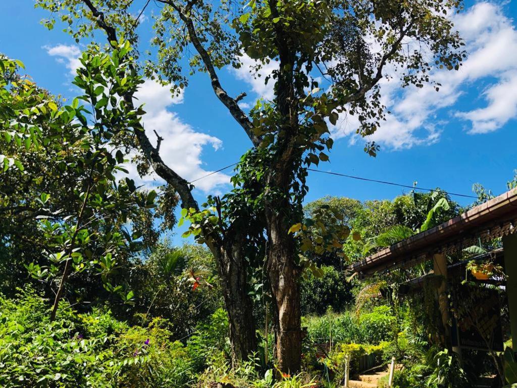 Sudumal Cottage Ella Bagian luar foto