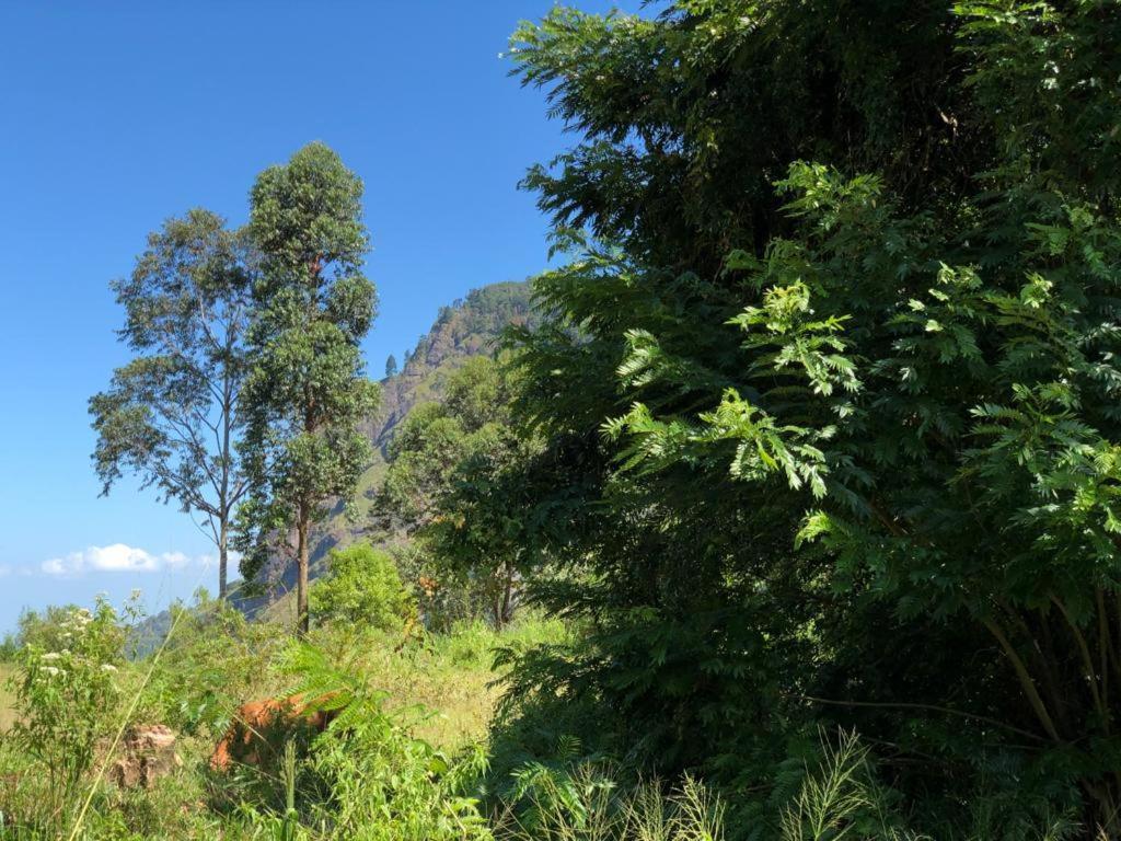 Sudumal Cottage Ella Bagian luar foto