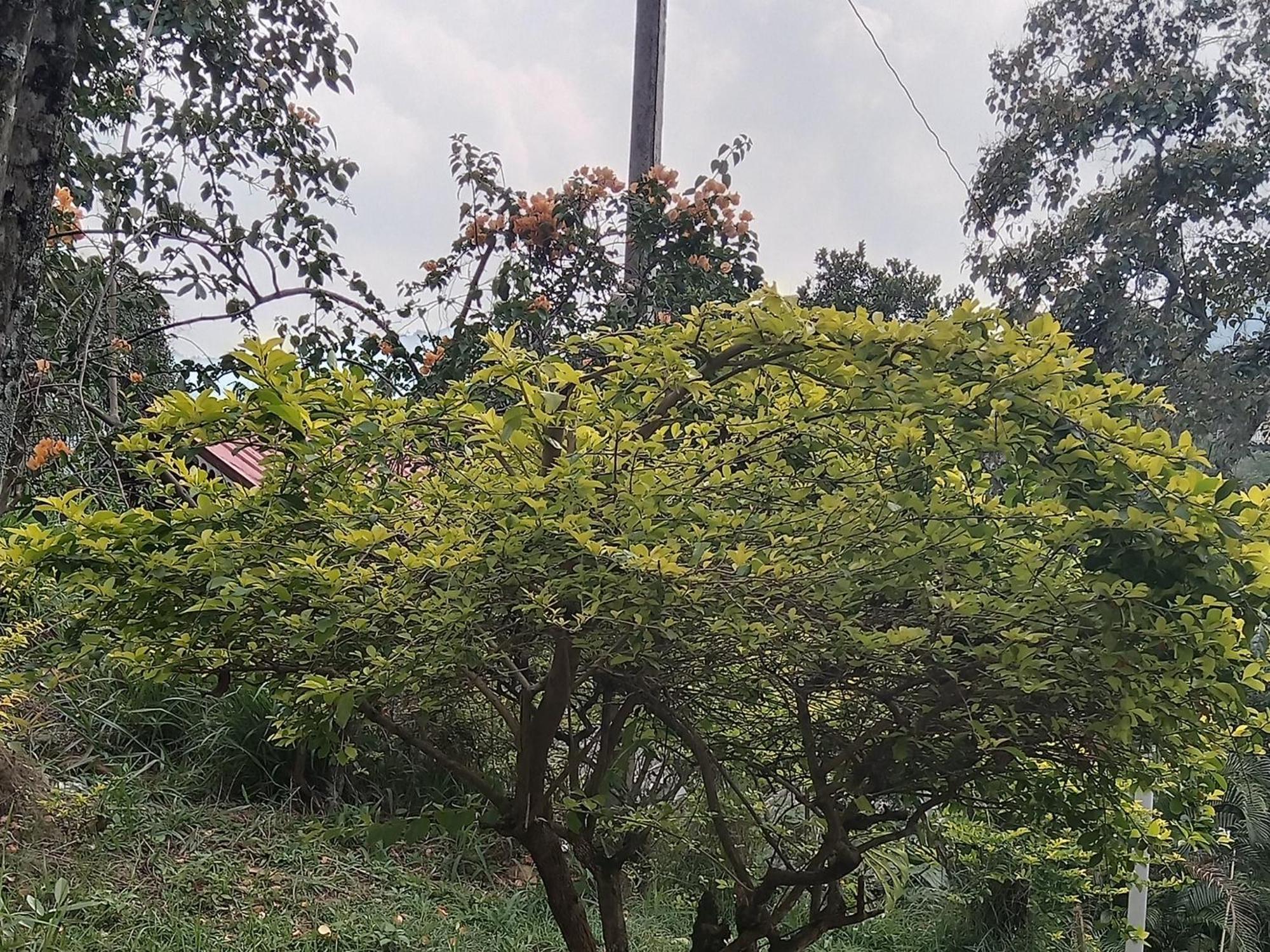 Sudumal Cottage Ella Ruang foto
