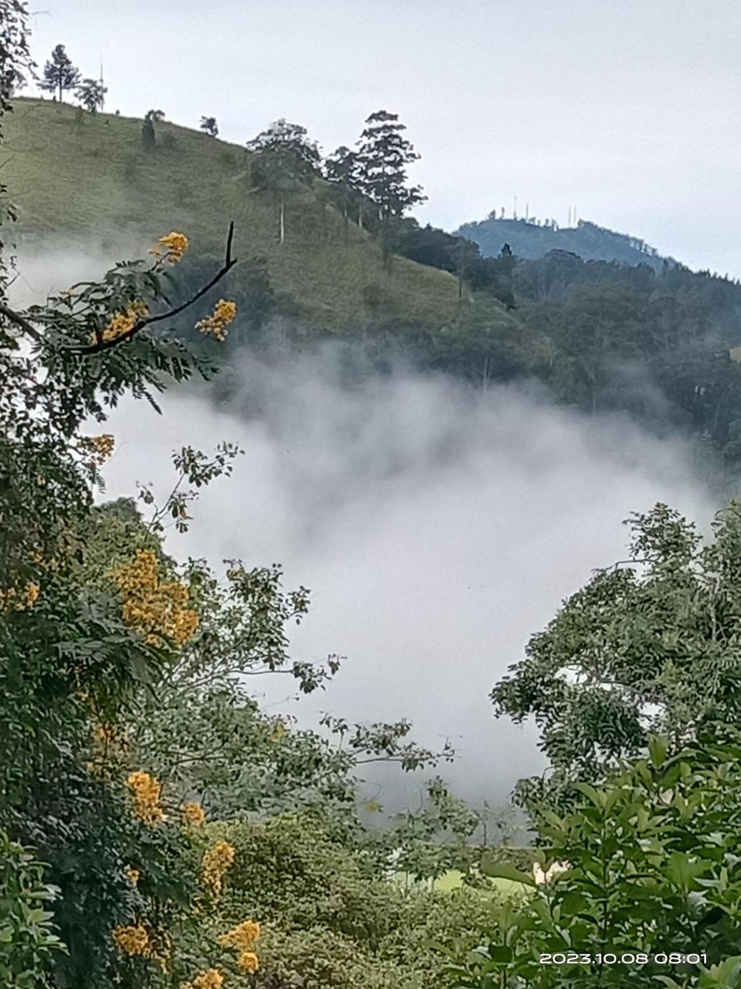 Sudumal Cottage Ella Bagian luar foto