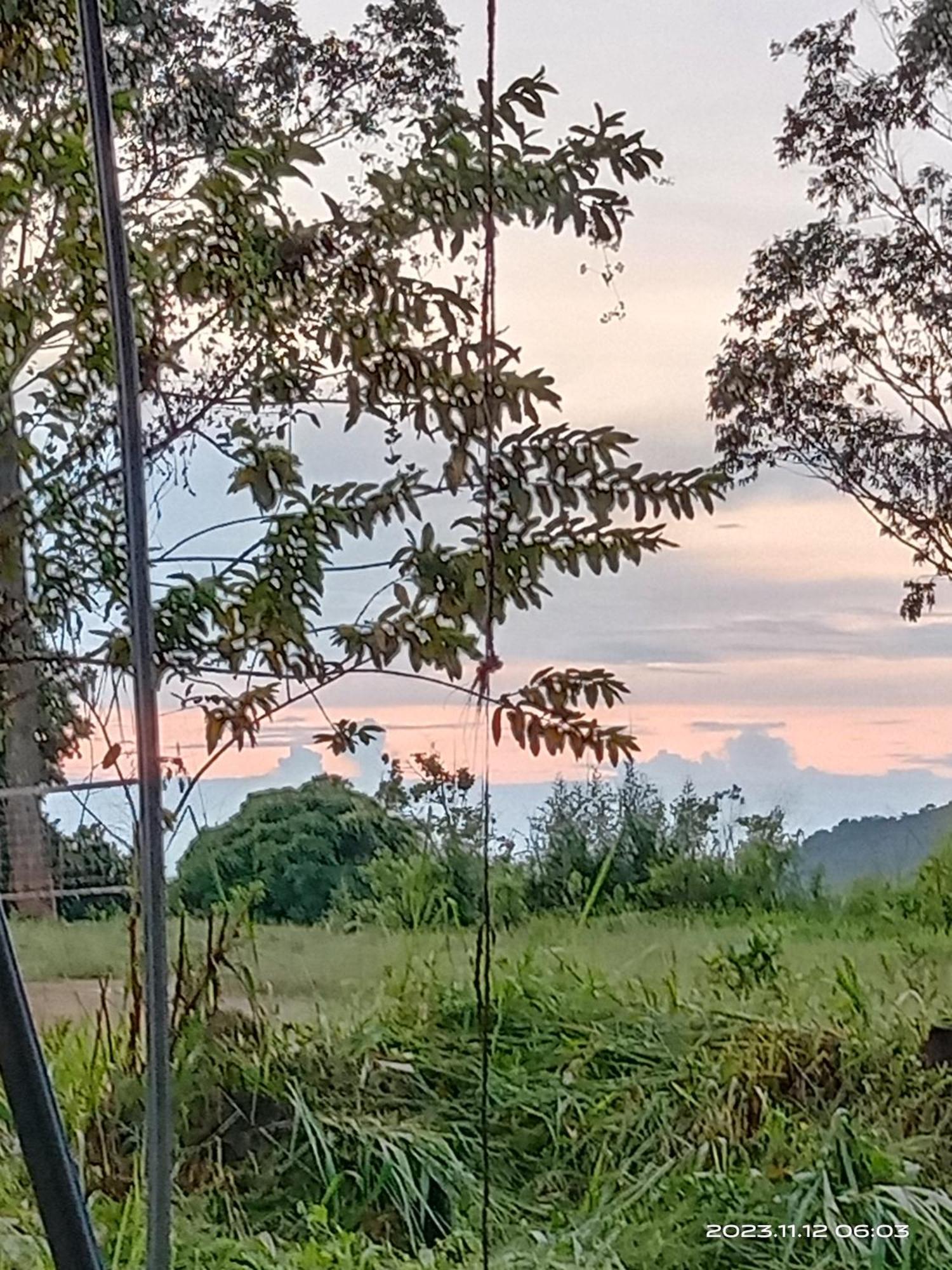 Sudumal Cottage Ella Bagian luar foto