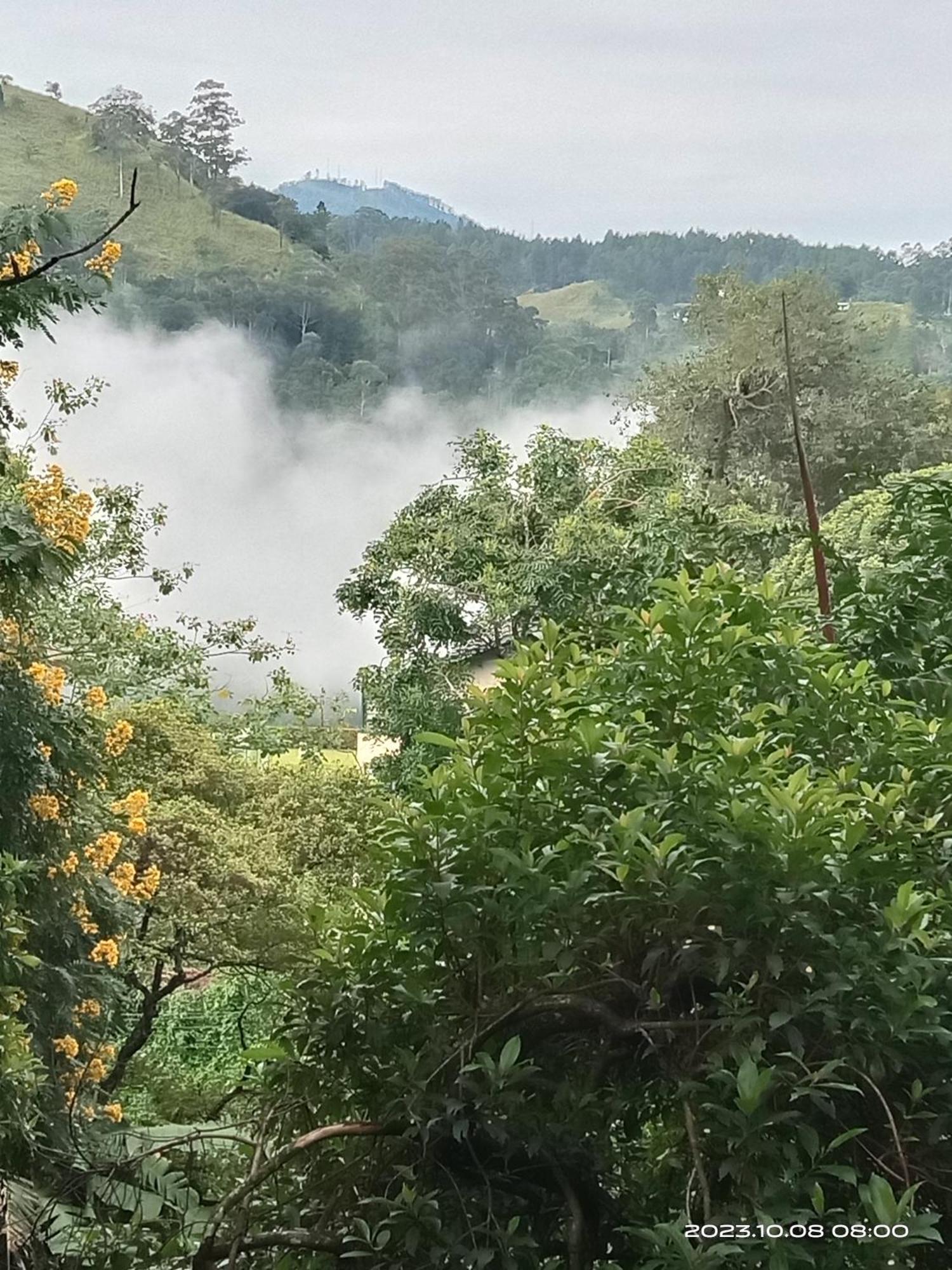 Sudumal Cottage Ella Bagian luar foto